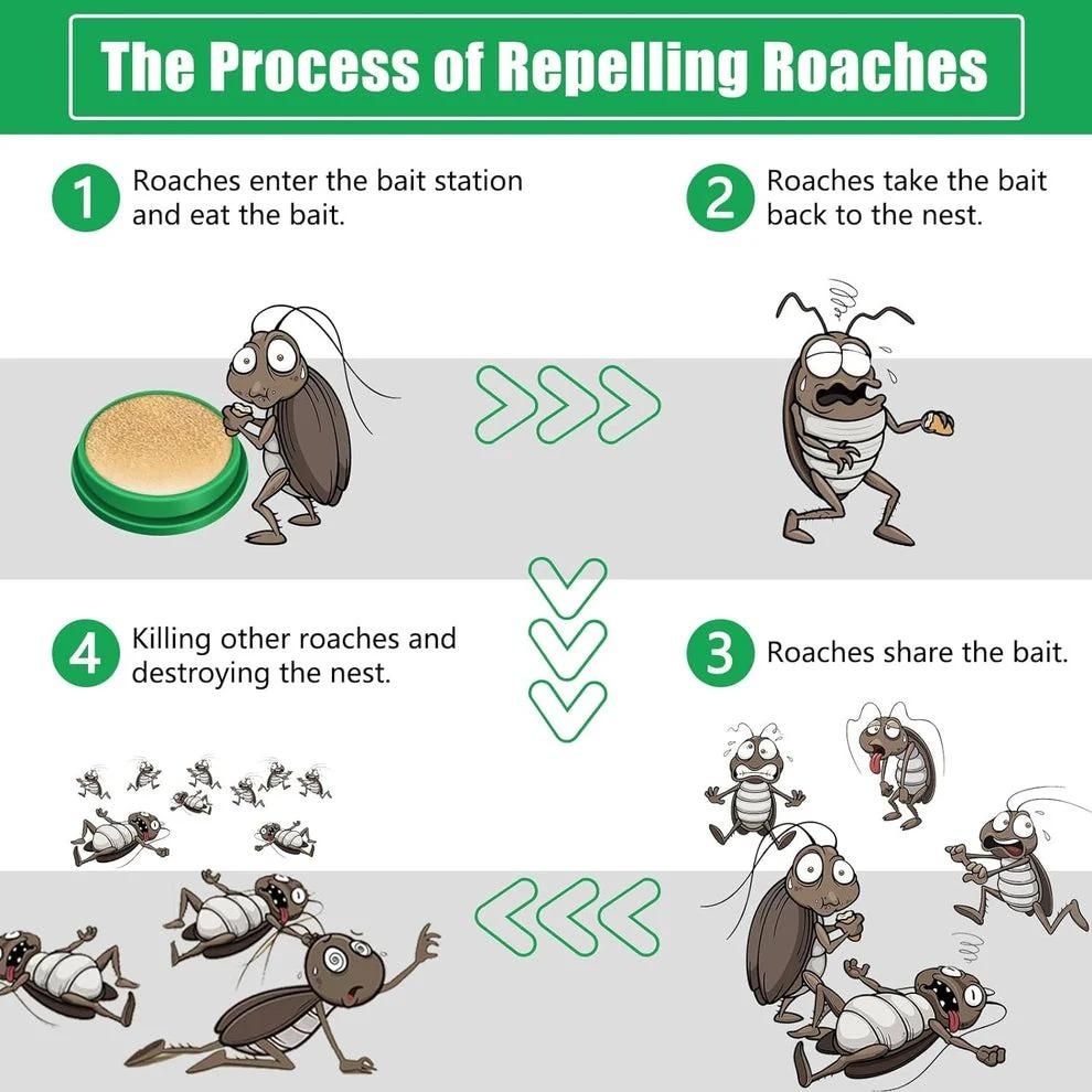 Advanced Cockroach Killer Gel – Pack of 2 | Powerful Roach Control for Kitchen & Home