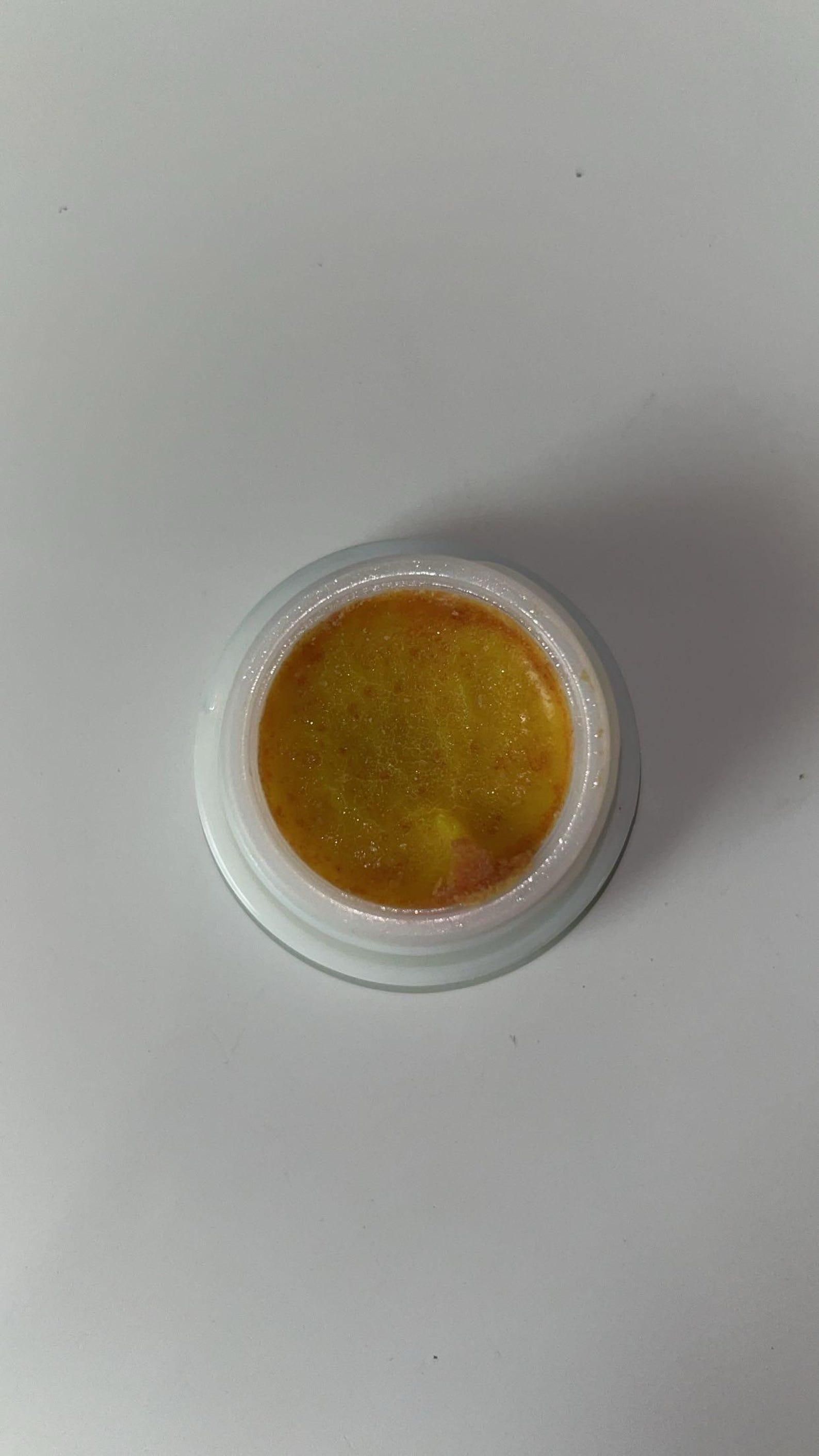 Advanced Cockroach Killer Gel – Pack of 2 | Powerful Roach Control for Kitchen & Home